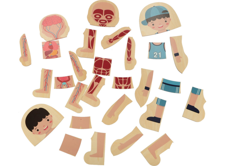 Dřevěné vrstvené Montessori puzzle Tělo - chlapec