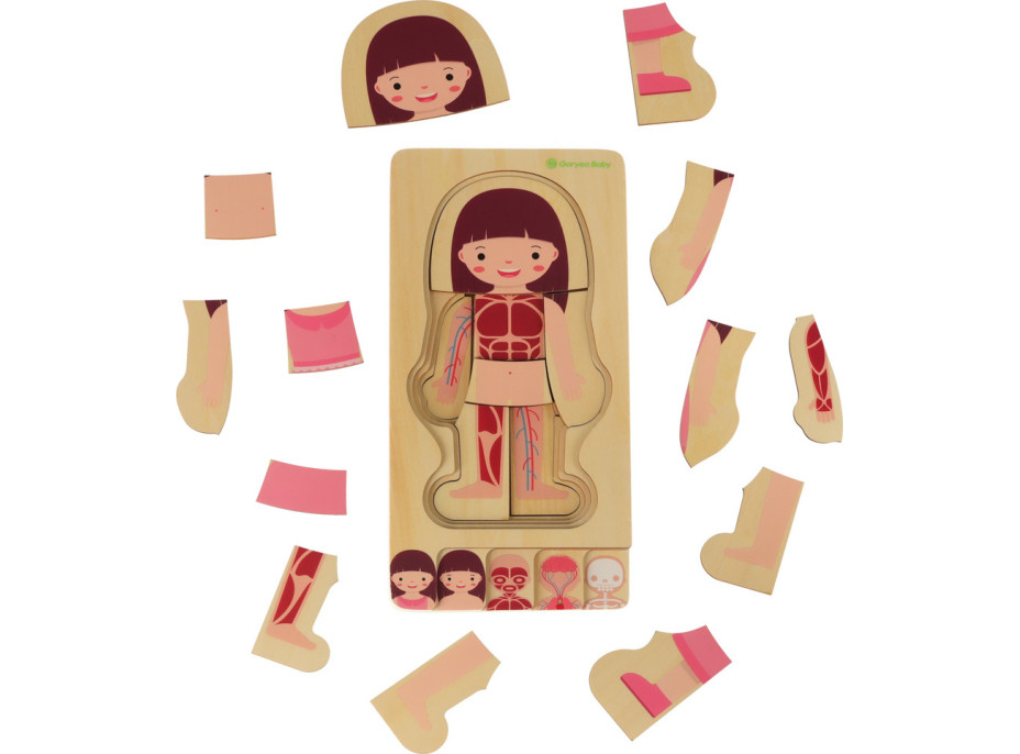 Dřevěné vrstvené Montessori puzzle Tělo - dívka