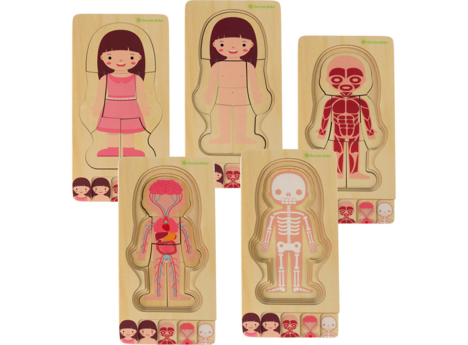 Dřevěné vrstvené Montessori puzzle Tělo - dívka