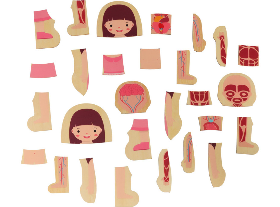 Dřevěné vrstvené Montessori puzzle Tělo - dívka
