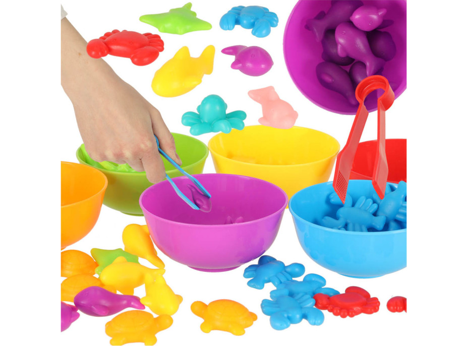 Mořští živočichové - třídící vzdělávací Montessori hra - 36 prvků