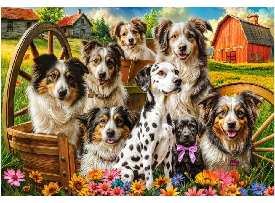 CASTORLAND Puzzle Šťastní psi na venkově 1000 dílků