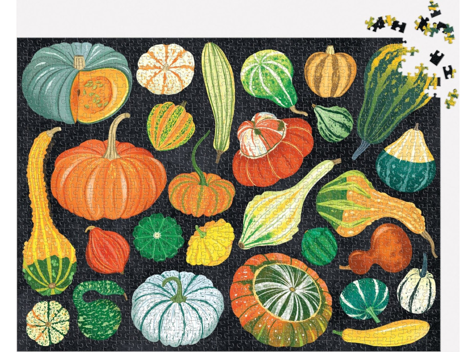 GALISON Puzzle Svět dýní 1000 dílků