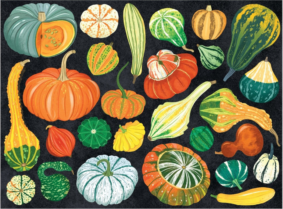 GALISON Puzzle Svět dýní 1000 dílků