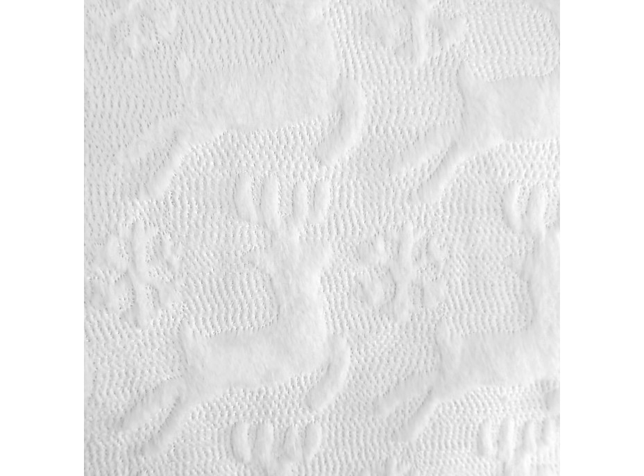 Povlak na polštář WINTER DREAM 45x45 cm - Sobi