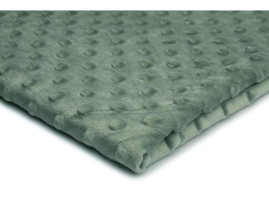 Chránič na dětskou postel MINKY 120 cm - šalvějový