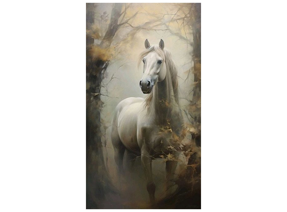 NORIMPEX Diamantové malování Bělouš v mlze 30x40cm