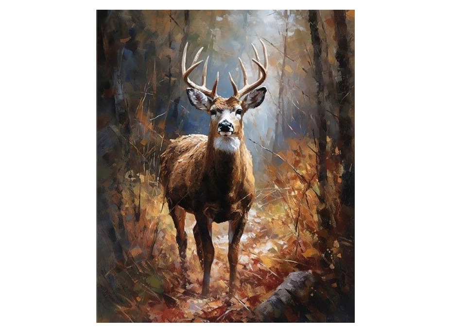 NORIMPEX Diamantové malování Jelen v lese 30x40cm