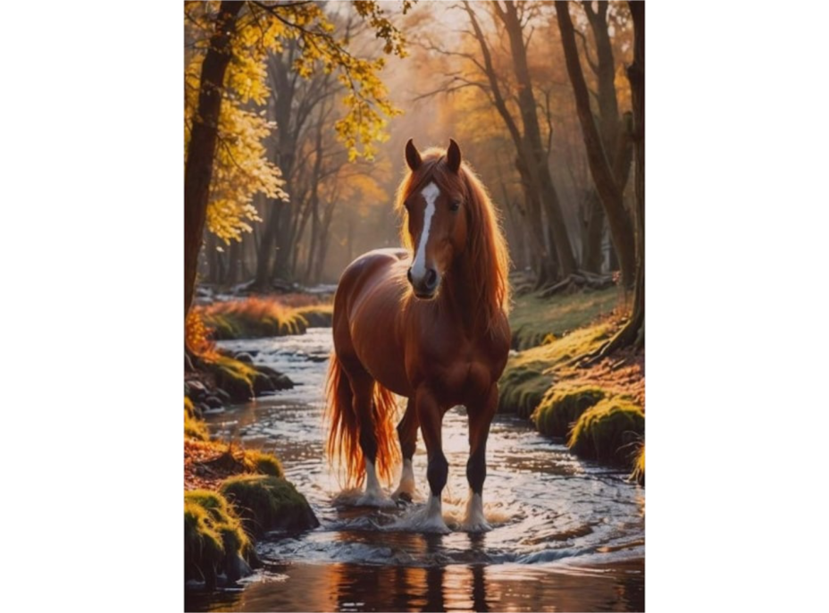 NORIMPEX Diamantové malování Kůň v lesním potoce 30x40cm