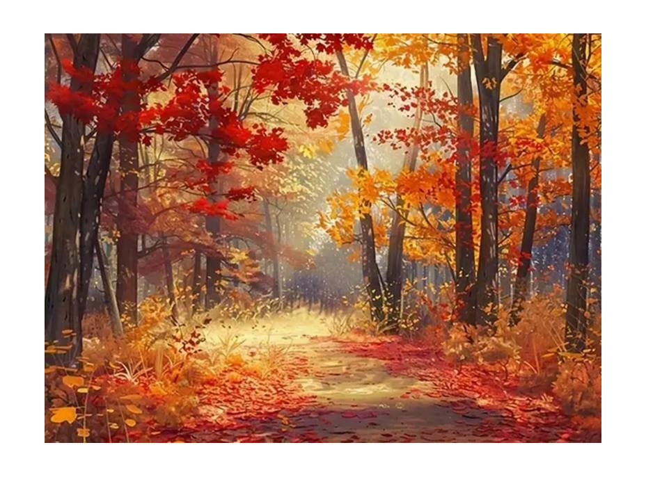NORIMPEX Diamantové malování Les v barvách podzimu 30x40cm