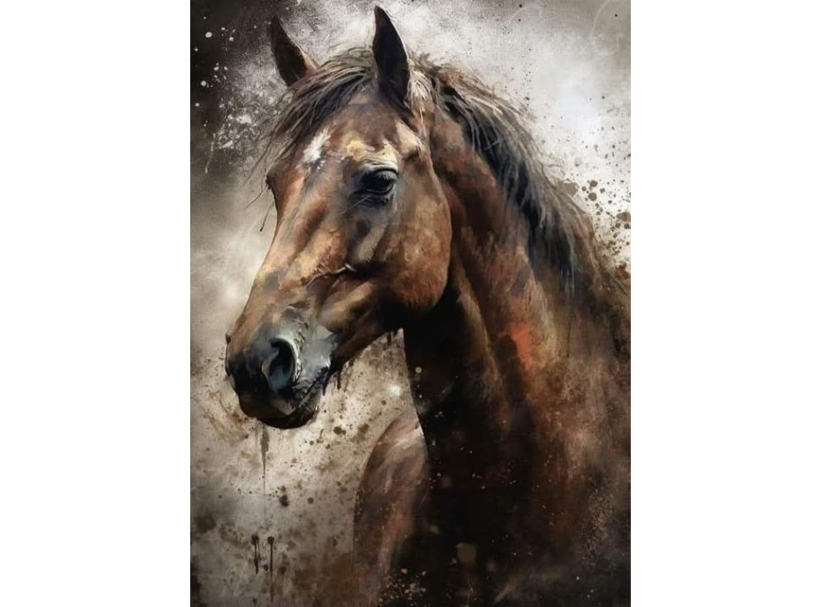NORIMPEX Diamantové malování Portrét koně 30x40cm