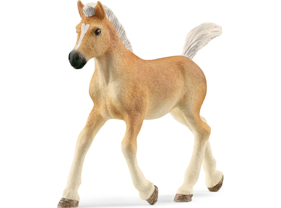 SCHLEICH Horse Club® 13951 Haflingerský kůň - hříbě