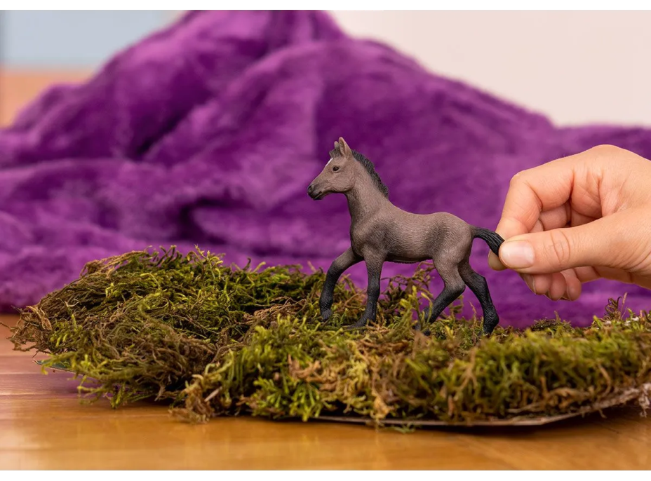 SCHLEICH Horse Club® 13954 Kůň Peruánský paso - hříbě