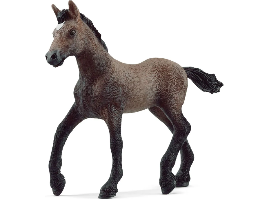 SCHLEICH Horse Club® 13954 Kůň Peruánský paso - hříbě