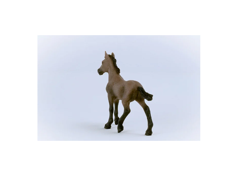 SCHLEICH Horse Club® 13954 Kůň Peruánský paso - hříbě