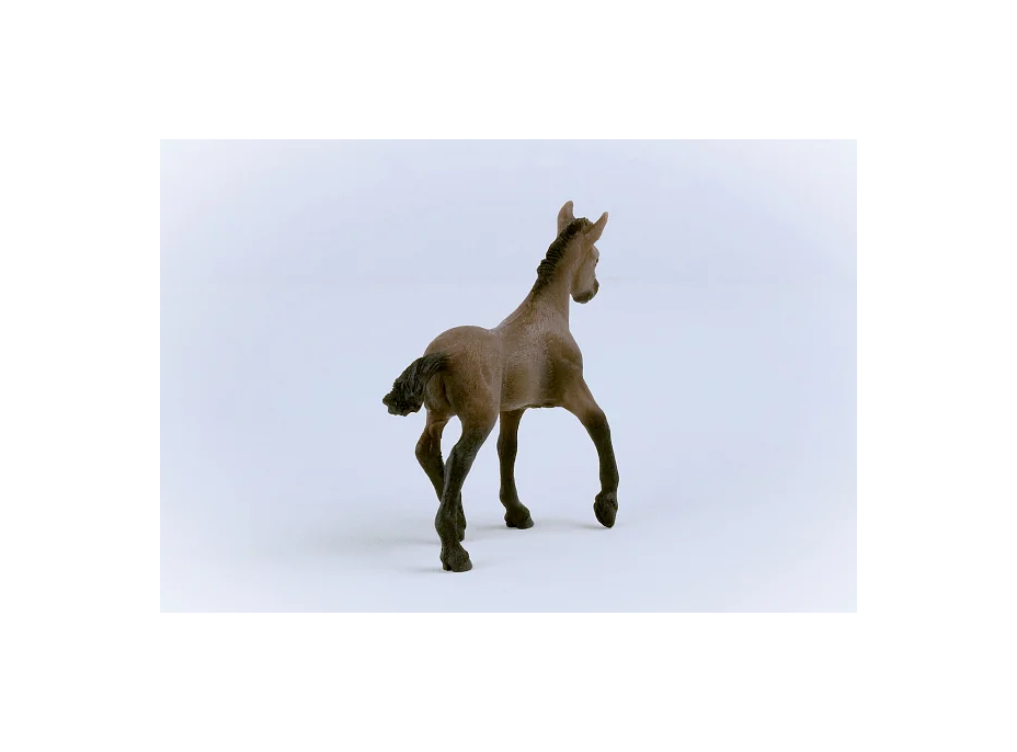 SCHLEICH Horse Club® 13954 Kůň Peruánský paso - hříbě