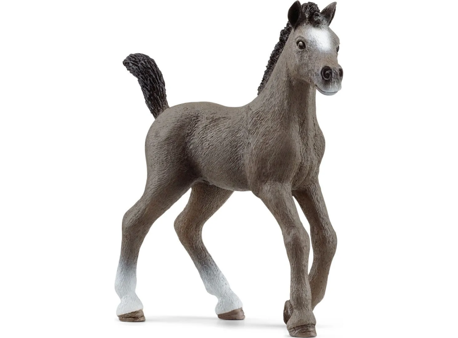 SCHLEICH Horse Club® 13957 Kůň Selle Français - hříbě