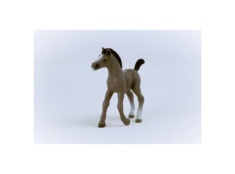 SCHLEICH Horse Club® 13957 Kůň Selle Français - hříbě