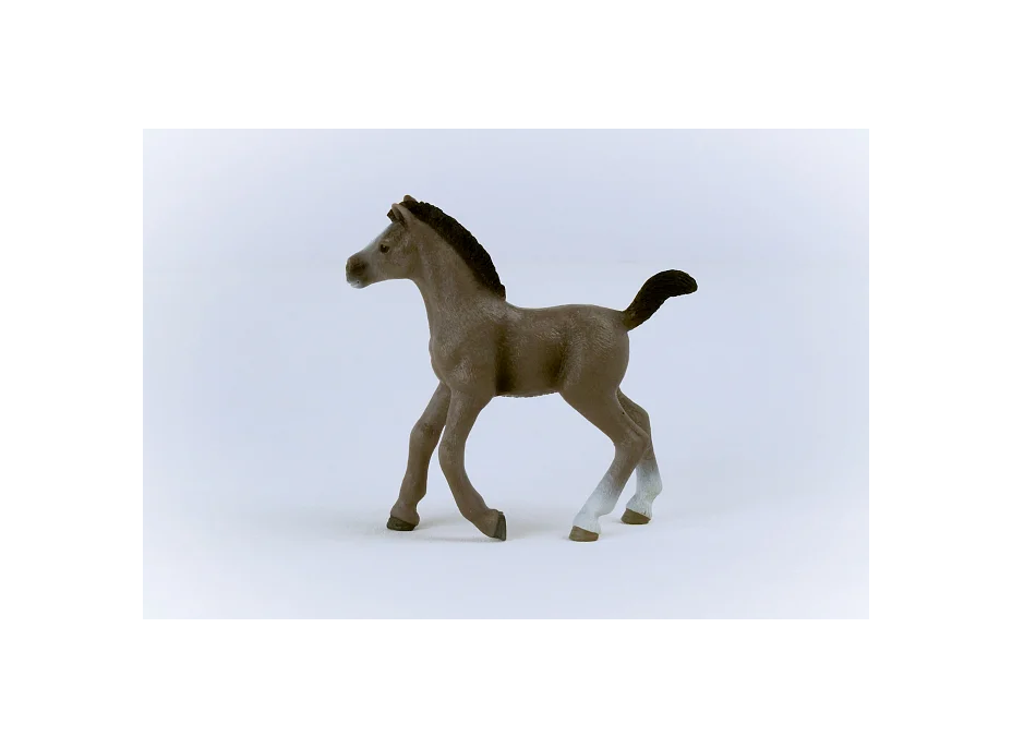 SCHLEICH Horse Club® 13957 Kůň Selle Français - hříbě