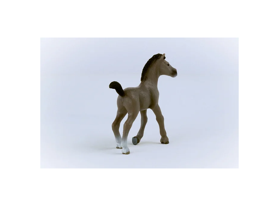 SCHLEICH Horse Club® 13957 Kůň Selle Français - hříbě