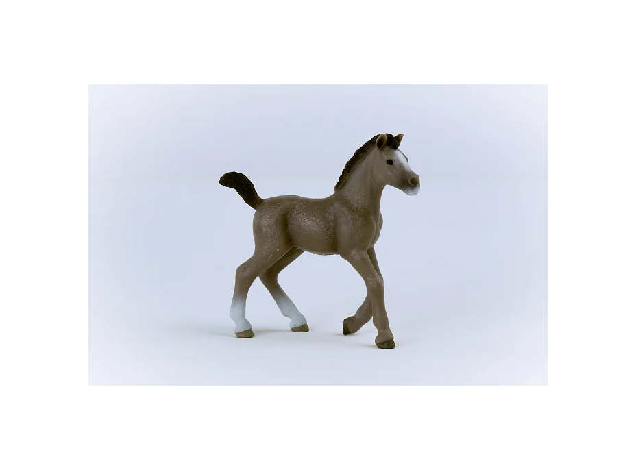 SCHLEICH Horse Club® 13957 Kůň Selle Français - hříbě