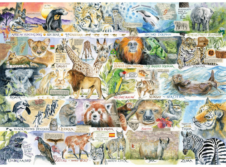 GIBSONS Puzzle Medvědi a lenochodi 1000 dílků