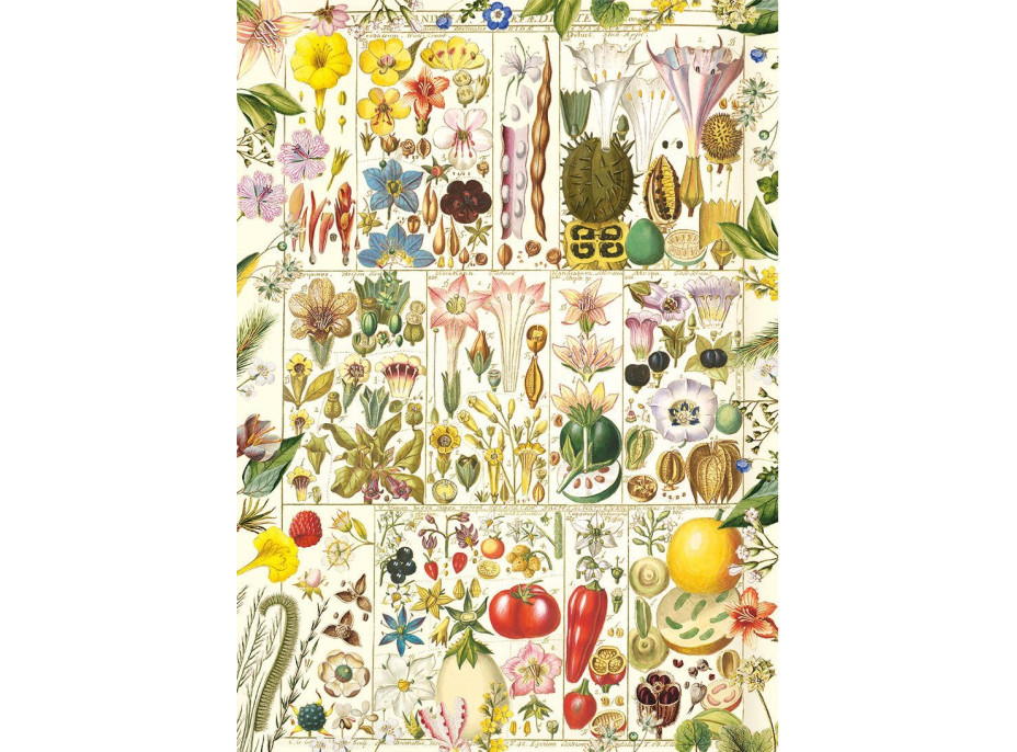 GIBSONS Puzzle Botanická blaženost 1000 dílků