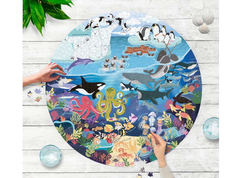 RIDLEY'S GAMES Kulaté puzzle Pro milovníky oceánů 1000 dílků
