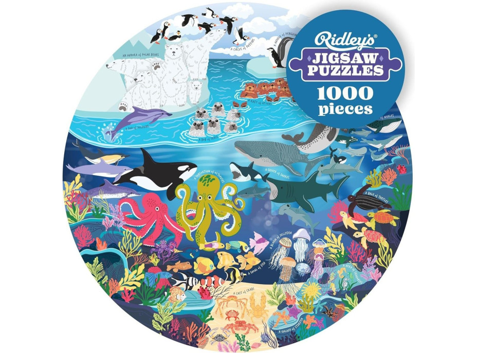 RIDLEY'S GAMES Kulaté puzzle Pro milovníky oceánů 1000 dílků