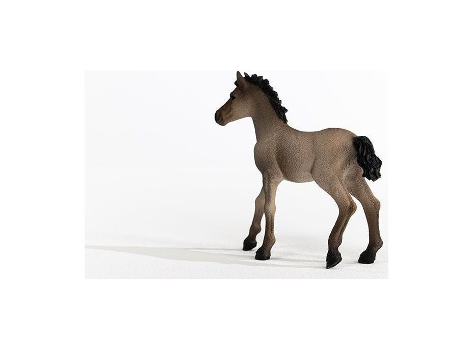 SCHLEICH Horse Club® 13949 Criollo Definitivo - hříbě