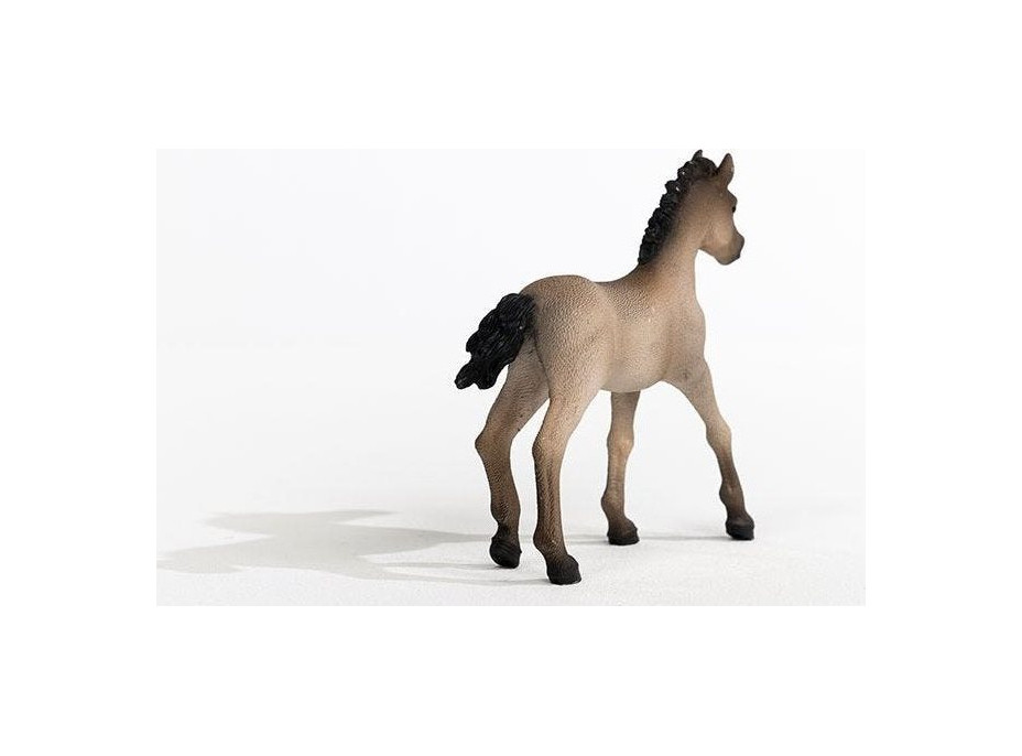 SCHLEICH Horse Club® 13949 Criollo Definitivo - hříbě