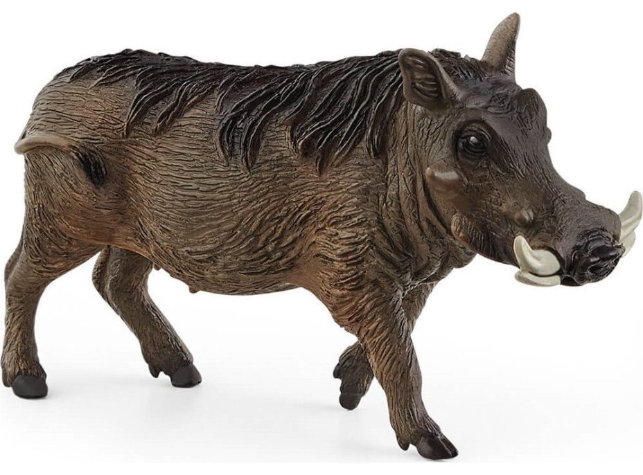 SCHLEICH Wild Life® 14843 Prase bradavičnaté