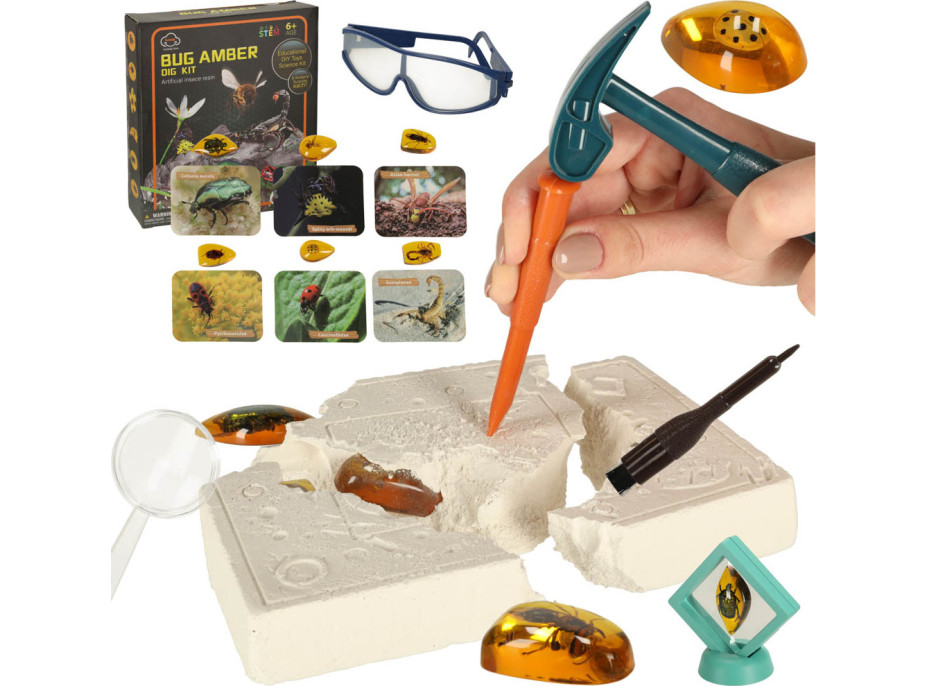 Archeologická sada - Jantarové fosilie hmyzu