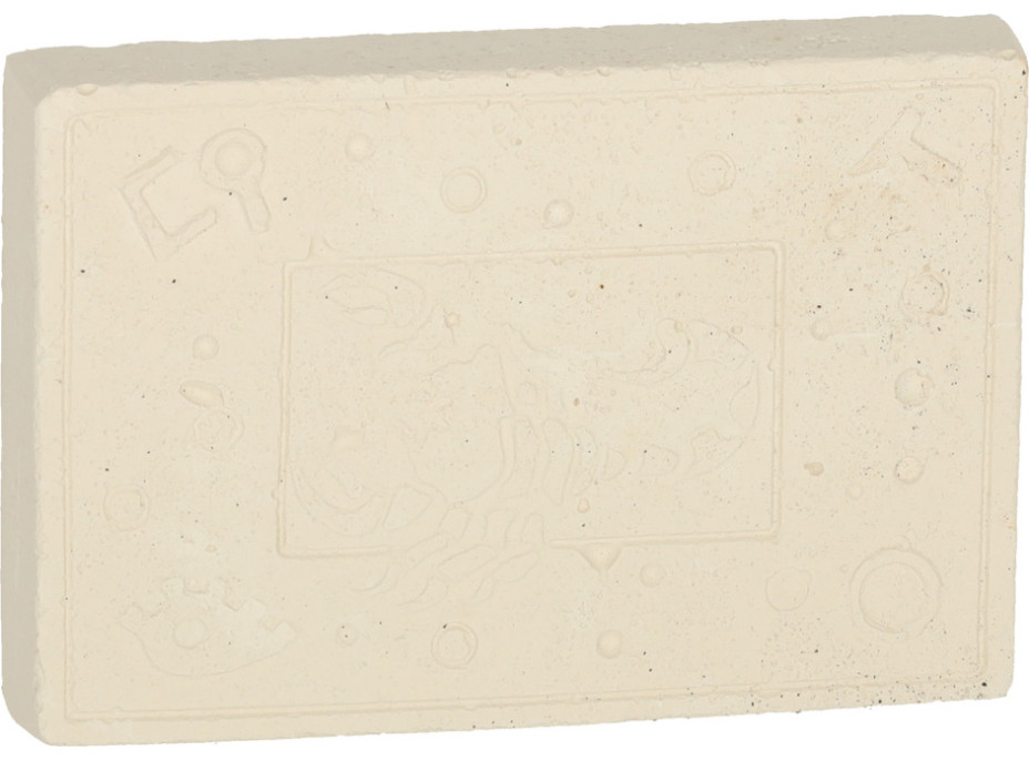 Archeologická sada - Jantarové fosilie hmyzu