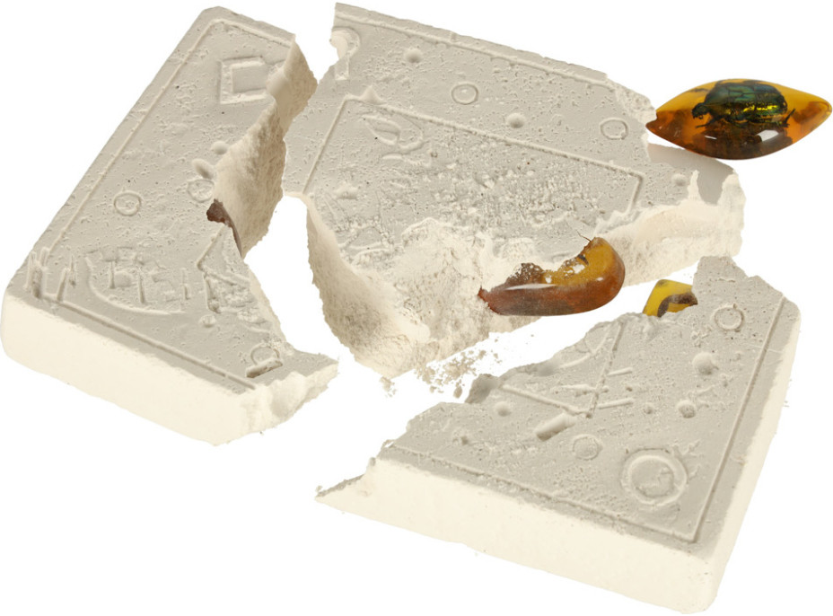 Archeologická sada - Jantarové fosilie hmyzu