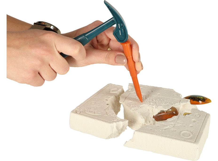 Archeologická sada - Jantarové fosilie hmyzu