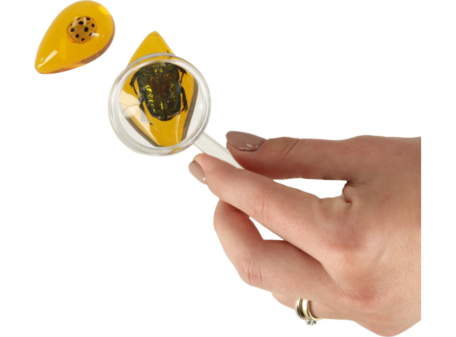 Archeologická sada - Jantarové fosilie hmyzu