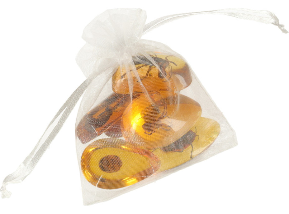 Archeologická sada - Jantarové fosilie hmyzu