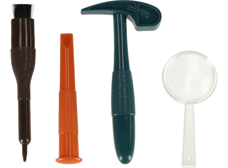 Archeologická sada - Jantarové fosilie hmyzu