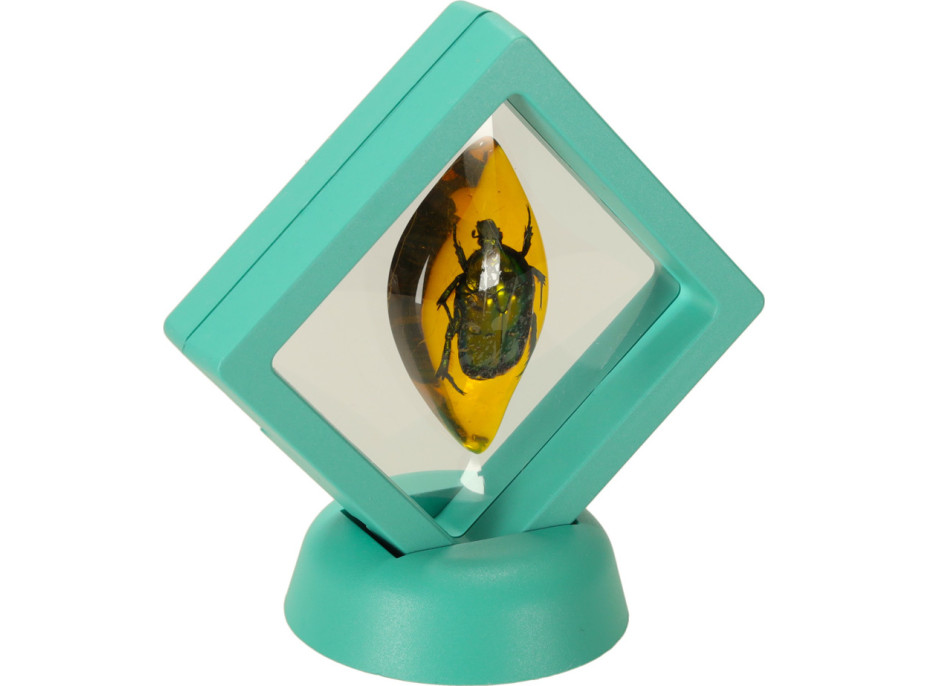 Archeologická sada - Jantarové fosilie hmyzu