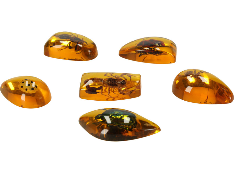 Archeologická sada - Jantarové fosilie hmyzu