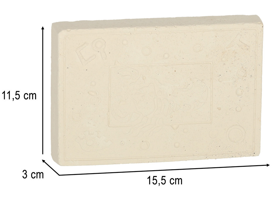 Archeologická sada - Jantarové fosilie hmyzu