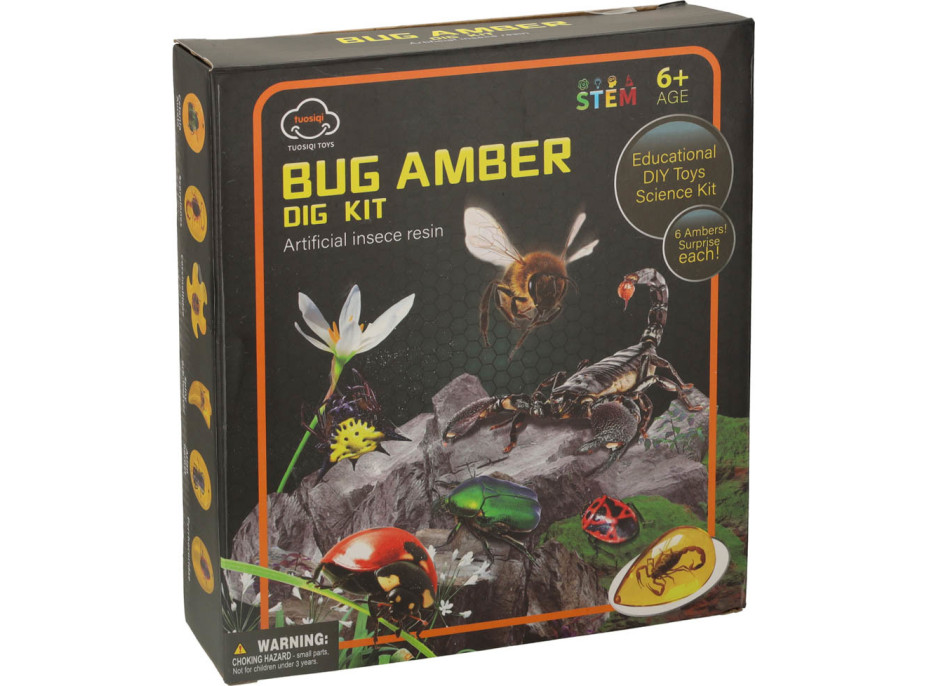 Archeologická sada - Jantarové fosilie hmyzu