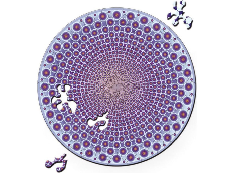 CURIOSI Oboustranné dřevěné puzzle Double: Body 88 dílků