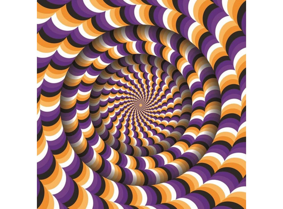 MAGNOLIA Puzzle Optická iluze 1023 dílků