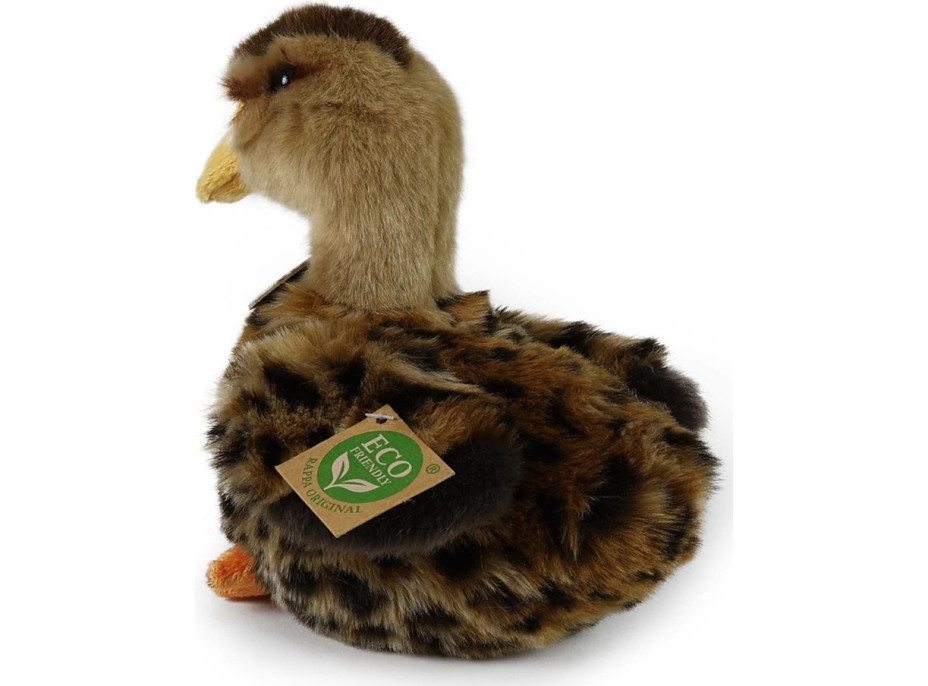 Rappa Plyšová kachna divoká 19 cm ECO-FRIENDLY