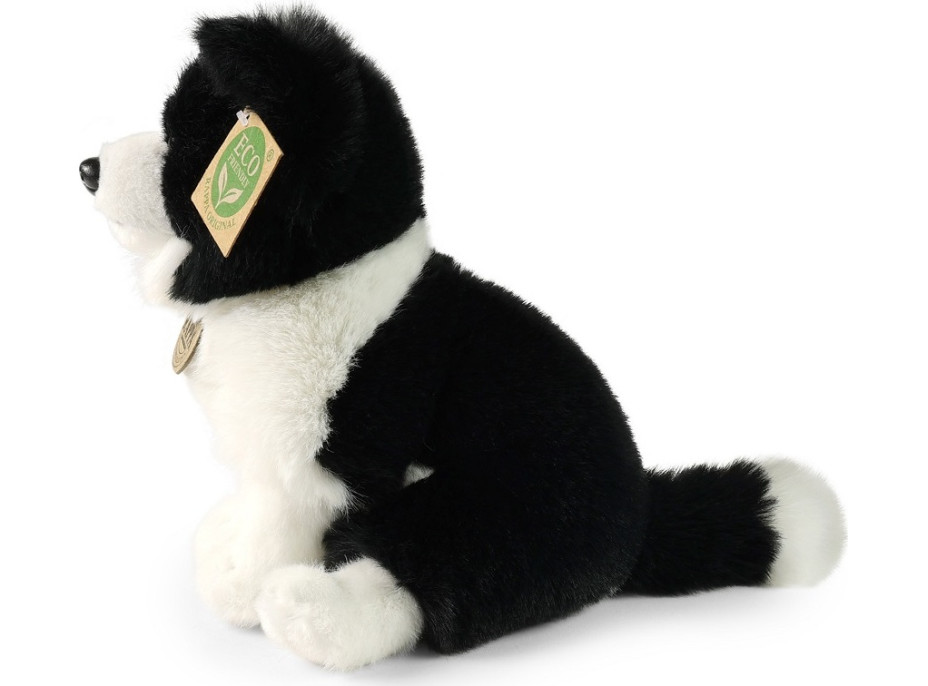 Rappa Plyšový pes border kolie 23 cm SOFT COLLECTION, ECO-FRIENDLY