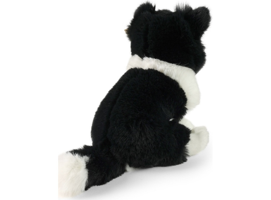 Rappa Plyšový pes border kolie 23 cm SOFT COLLECTION, ECO-FRIENDLY