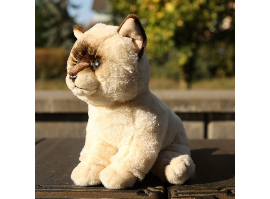 Rappa Plyšová kočka Ragdoll 23 cm ECO-FRIENDLY SOFT