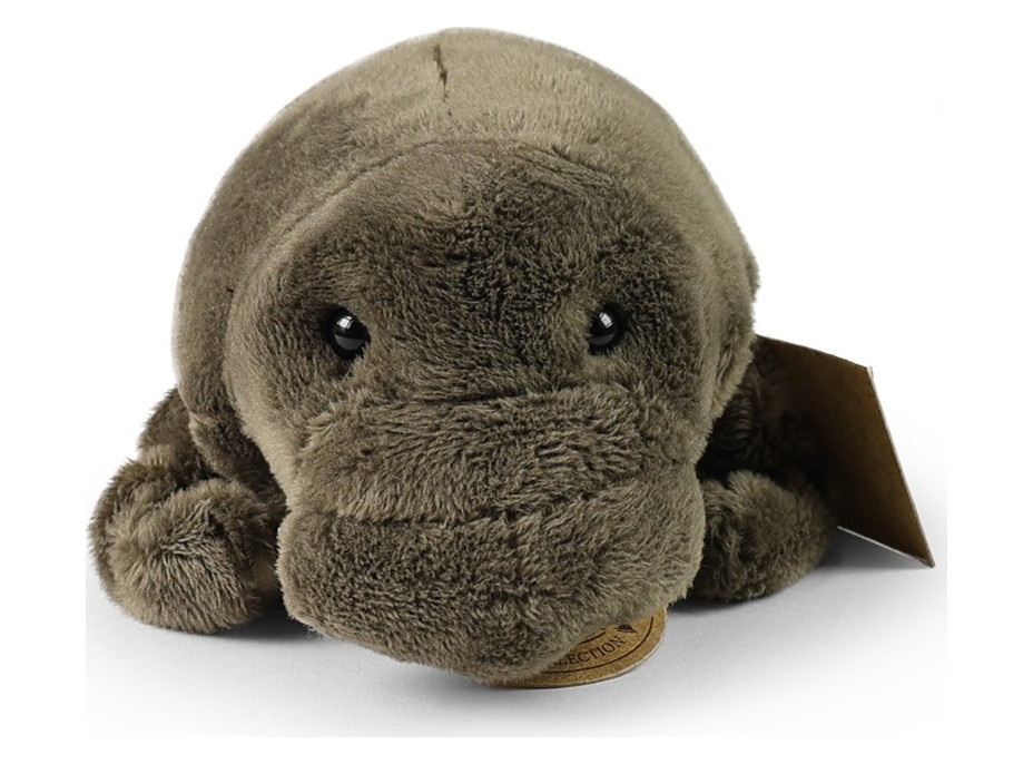 Rappa Plyšový kapustňák 26 cm ECO-FRIENDLY